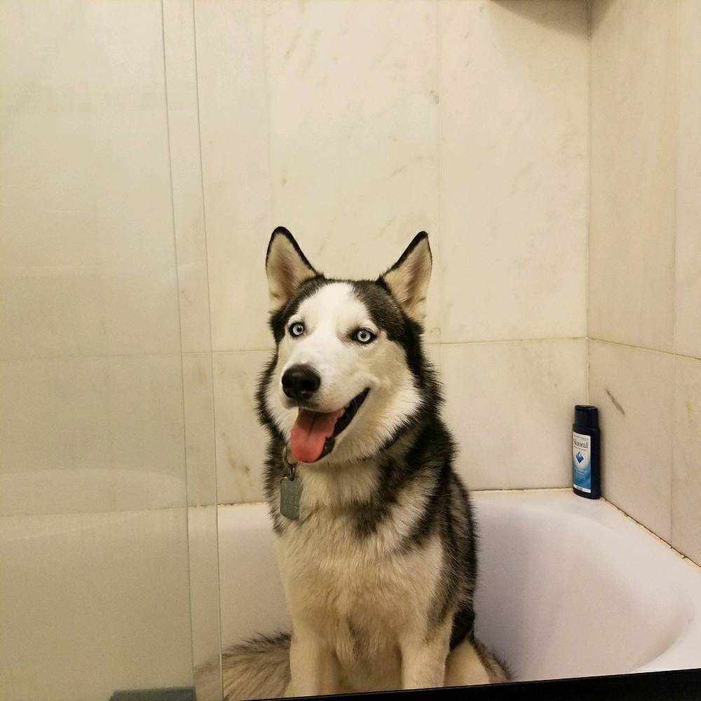 Meet your Posher, Christian